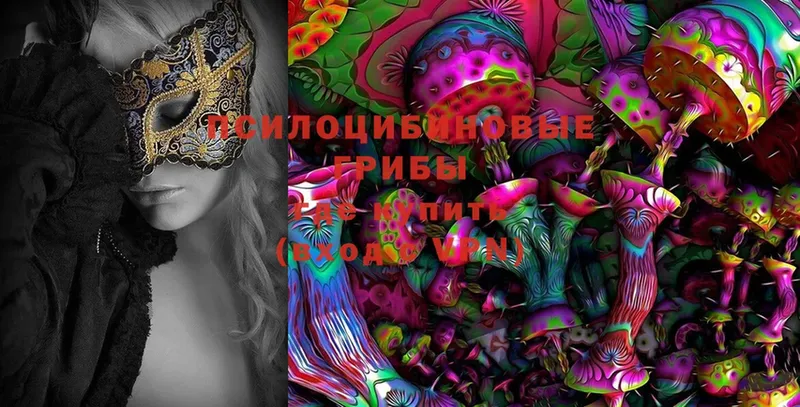 Галлюциногенные грибы Magic Shrooms  Карабулак 